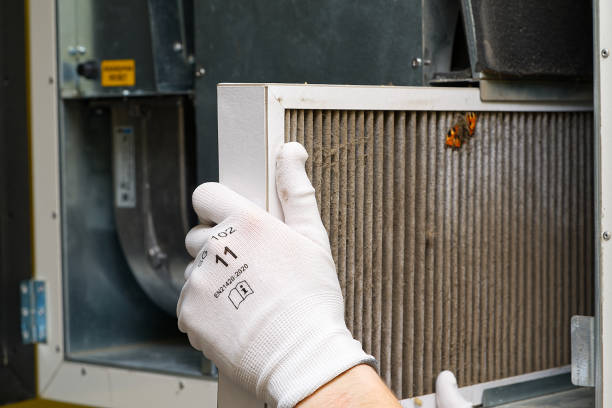 Best HVAC System Cleaning  in Brock Hall, MD