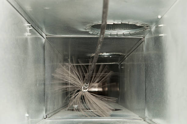 Best Professional Duct Cleaning Services  in Brock Hall, MD